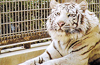 大牟田市動物園